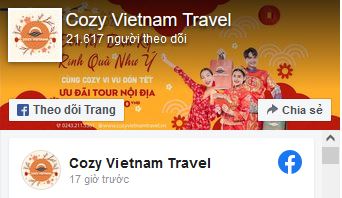 COZY Việt Nam Travel