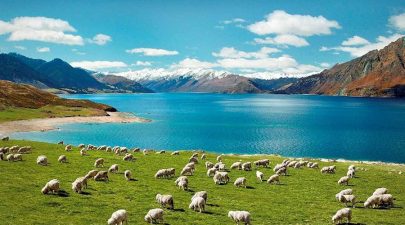 Có một New Zealand nguyên sơ và thanh bình