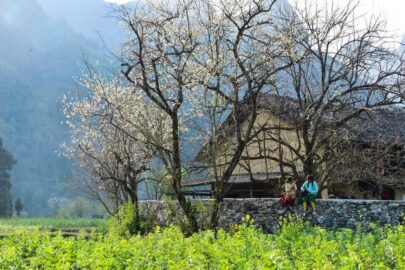 Tour Hà Giang – Mã Pí Lèng – Sông Nho Quế 3 Ngày 2 Đêm