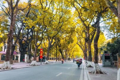 Khí hậu Hà Nội như thế nào? Mùa nào đẹp nhất? TOP địa điểm đẹp nhất nên đi