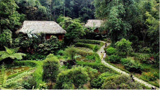 Top 5 địa điểm nghỉ dưỡng kết nối thiên nhiên tại Việt Nam