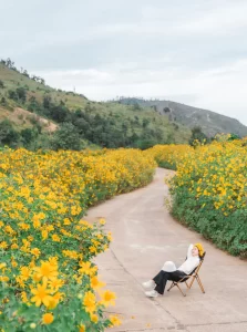 Có một nơi tại Việt Nam được mệnh danh là “thành phố ngủ ngon nhất”, đi du lịch chỉ để an giấc thì chuẩn bài!